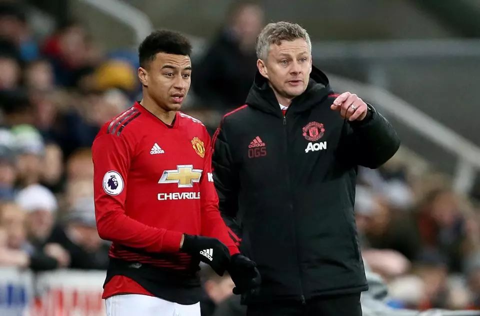 他都没有显 他都没有显